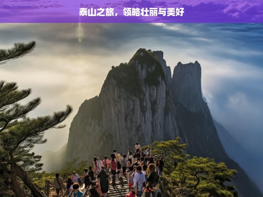 泰山之旅，领略壮丽与美好