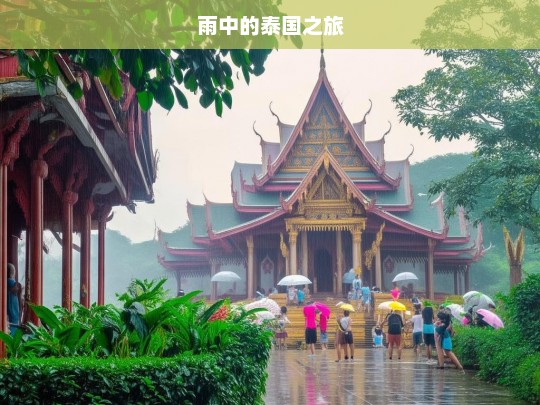 雨中的泰国之旅